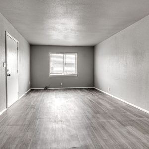 Empty room with gray wood-look flooring, a window with blinds, and a white entry door