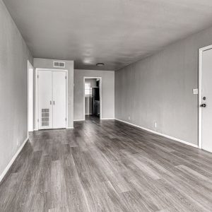 Empty living room with gray wood-look flooring, white doors, and a view into the kitchen