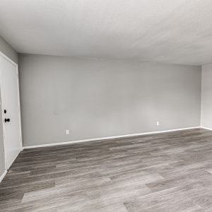 Empty room with gray walls, wood-look vinyl flooring, and a white entry door