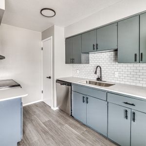 Kitchen with blue-gray cabinets, white subway tile backsplash, stainless dishwasher, and wood-look flooring